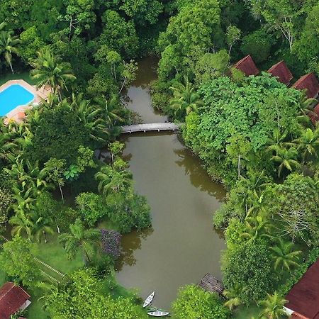 Pousada Salve Floresta Tapiraí Eksteriør bilde