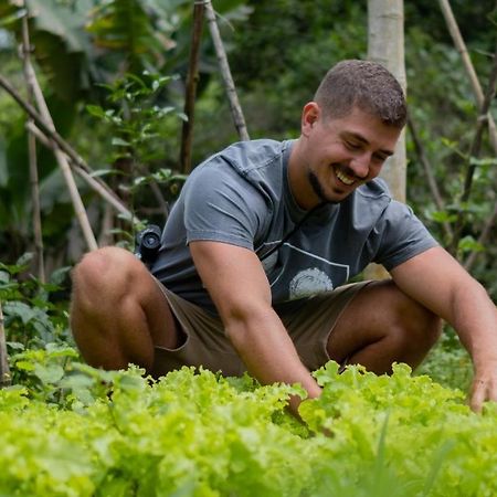 Pousada Salve Floresta Tapiraí Eksteriør bilde
