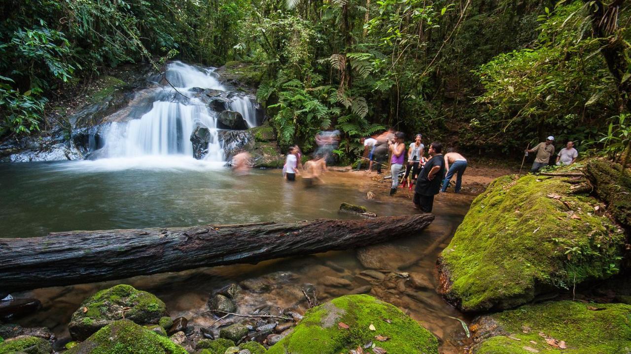 Pousada Salve Floresta Tapiraí Eksteriør bilde