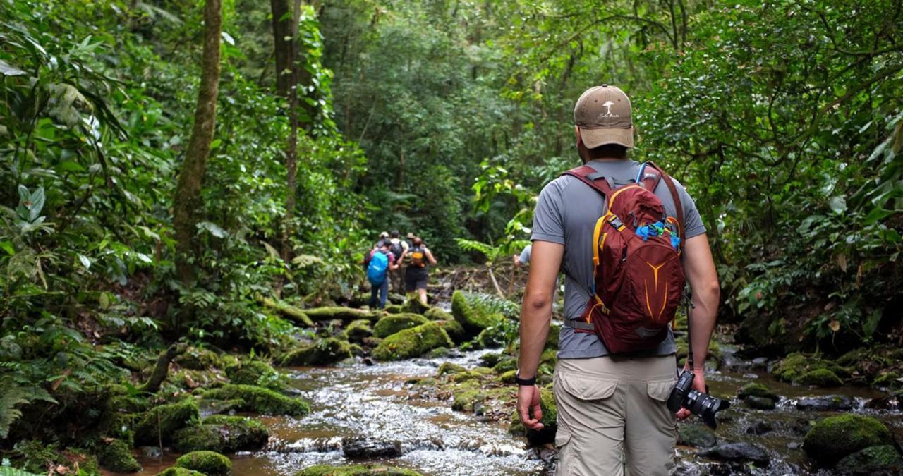 Pousada Salve Floresta Tapiraí Eksteriør bilde