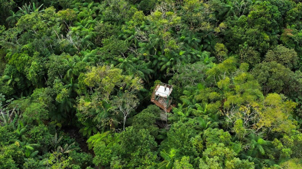 Pousada Salve Floresta Tapiraí Eksteriør bilde
