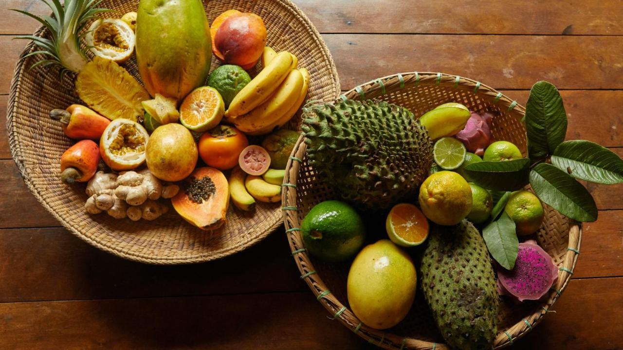Pousada Salve Floresta Tapiraí Eksteriør bilde