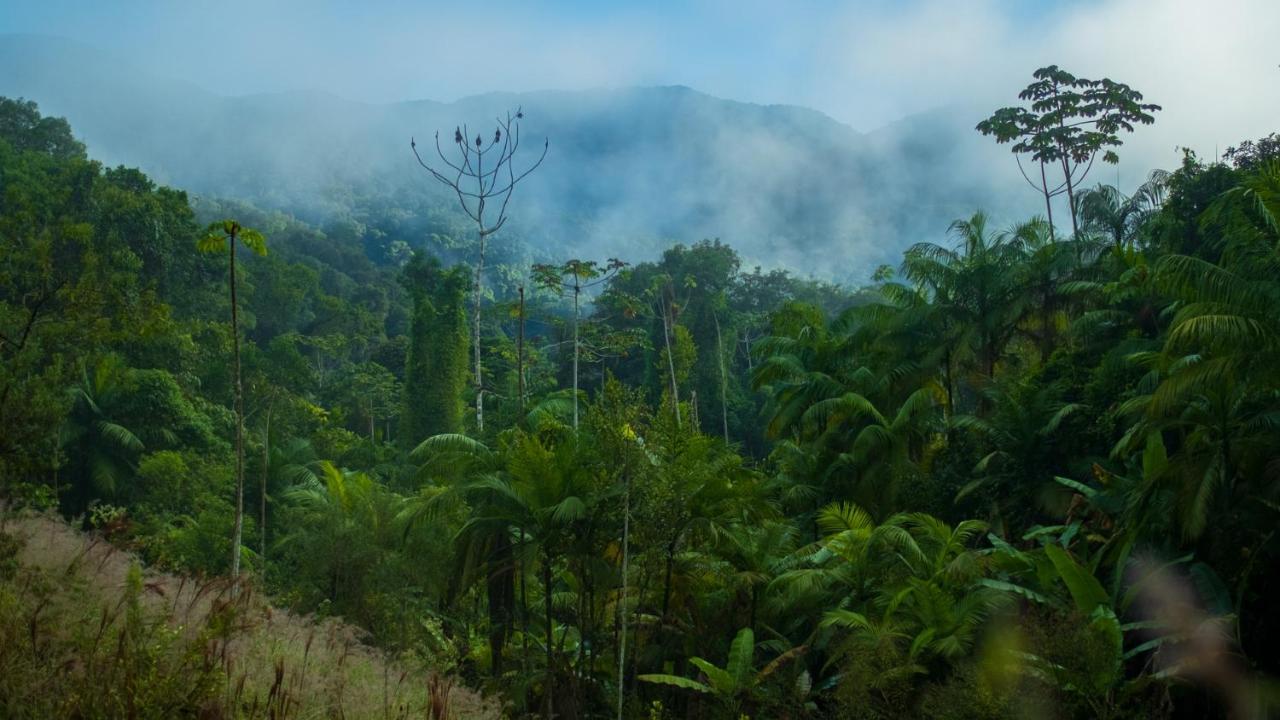 Pousada Salve Floresta Tapiraí Eksteriør bilde