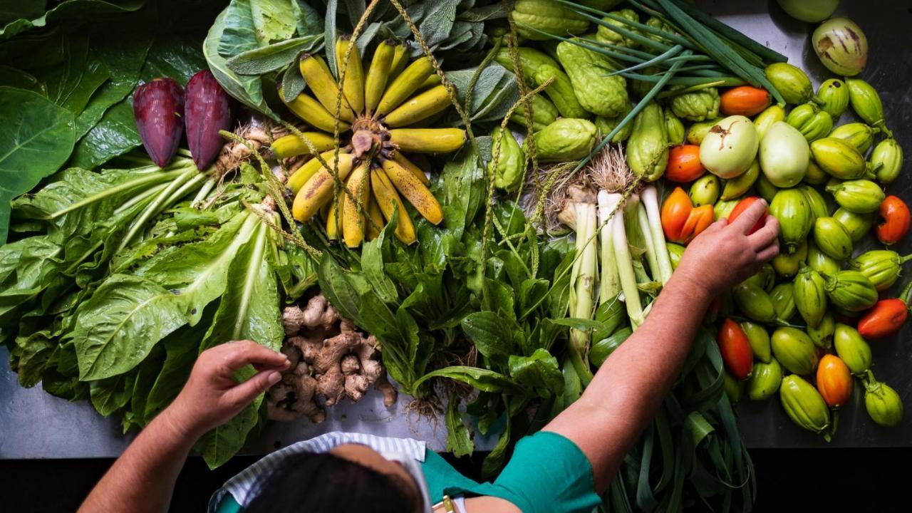 Pousada Salve Floresta Tapiraí Eksteriør bilde