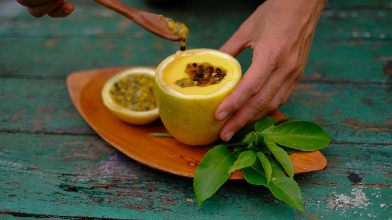Pousada Salve Floresta Tapiraí Eksteriør bilde