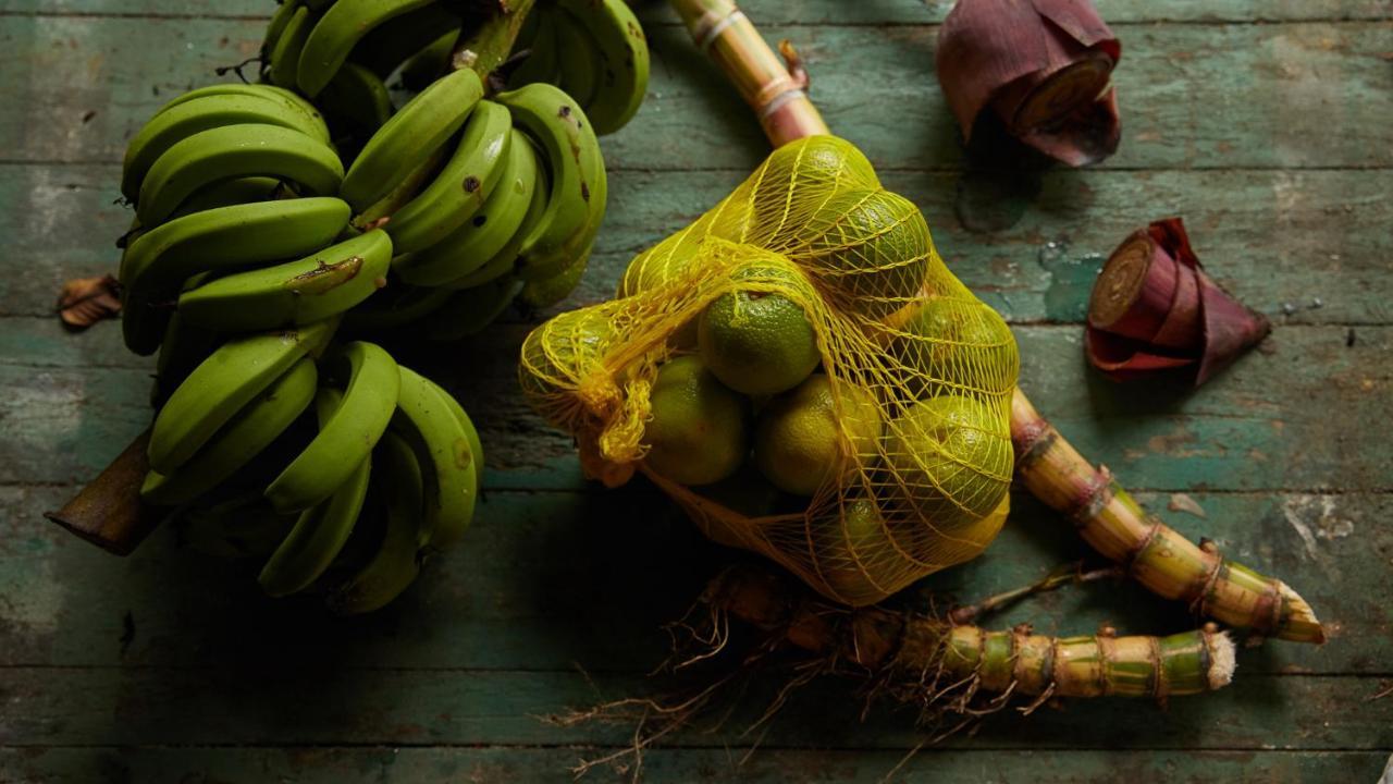 Pousada Salve Floresta Tapiraí Eksteriør bilde