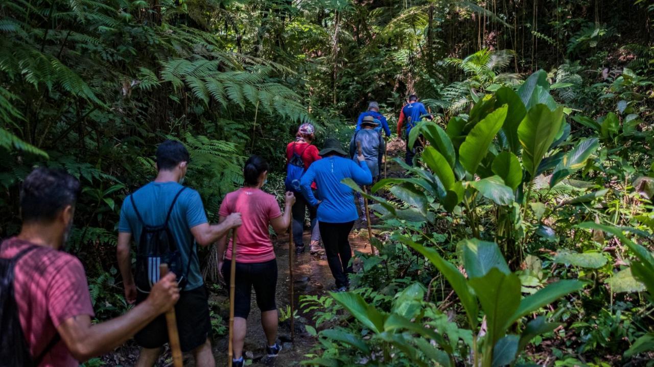 Pousada Salve Floresta Tapiraí Eksteriør bilde