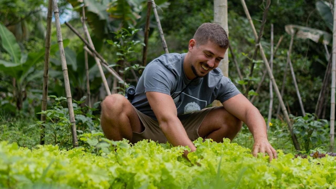 Pousada Salve Floresta Tapiraí Eksteriør bilde
